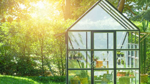Szklarnia ogrodowa przy twoim domu