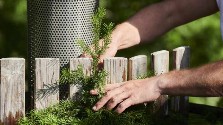 Ciekawy pomysł do ogrodu: plotek z drewna – jak zrobić